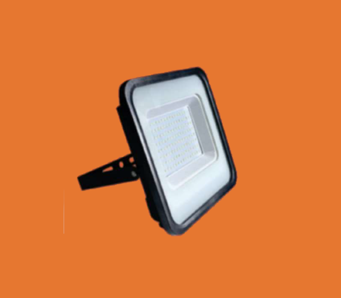 LED Flood Light